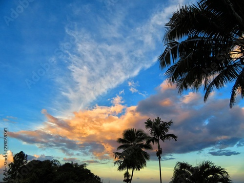 exploring tropical island of tahiti