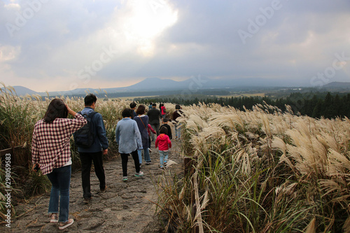 Tourists go along the road to Sangumburi Crater, Jeju Island, South Korea photo