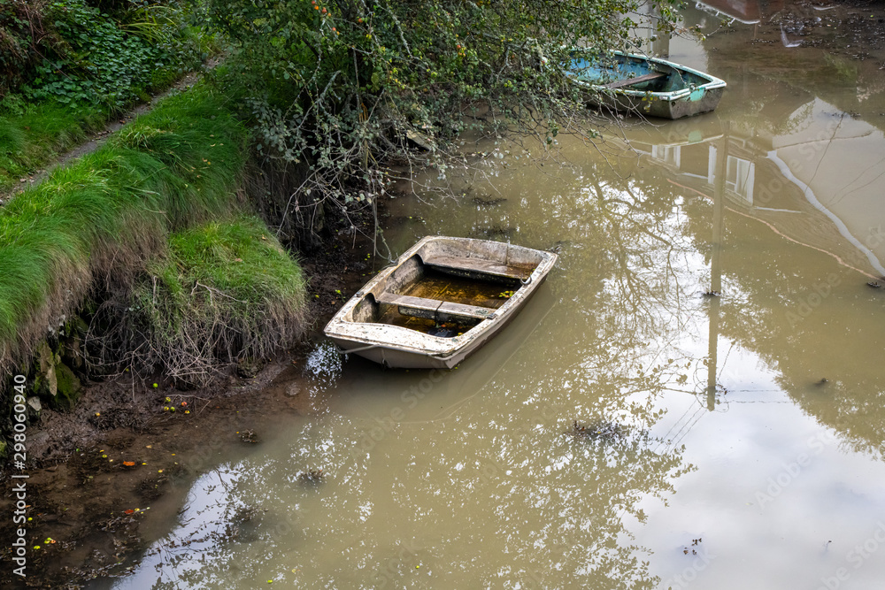 An abandoned rowing boat containing apples which have fallen from the tree above
