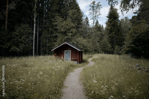 old wooden house in the forest