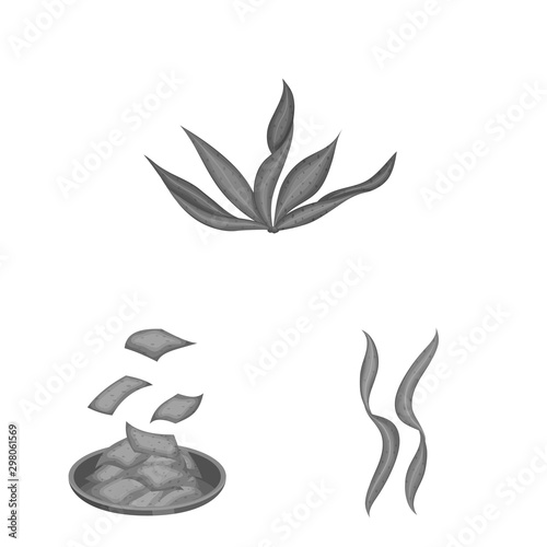Isolated object of plant and weed logo. Collection of plant and sea stock vector illustration.