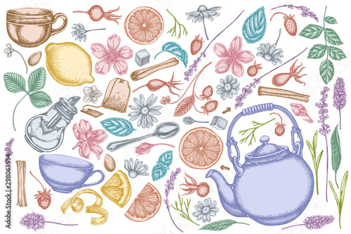 Vector set of hand drawn pastel cinnamon, lemons, oranges, tea bag, sugar cubes, heather, chamomile, dog rose, peppermint, almond, strawberry, teaspoon, teapots, cups, sugar bowl