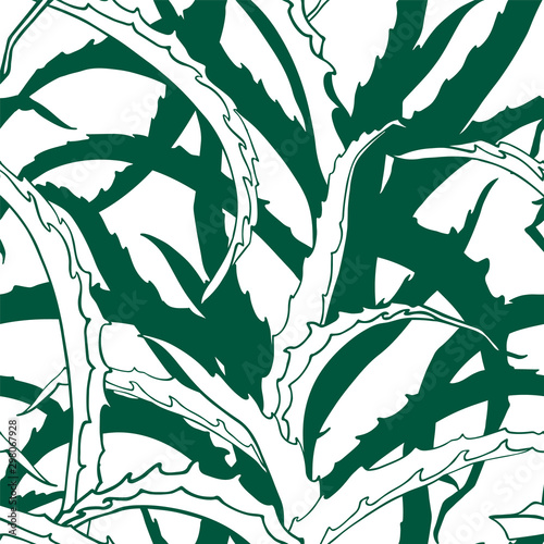 Aloe leaves. Hand drawn linear seamless pattern with medicinal plant. Floral texture, graphic print, design element for cosmetics, and the beauty and health industry.