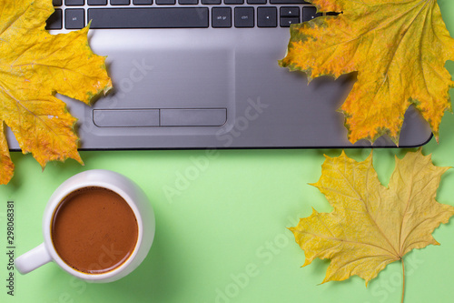 Laptop on a green background with autumn leaves. Maple. photo