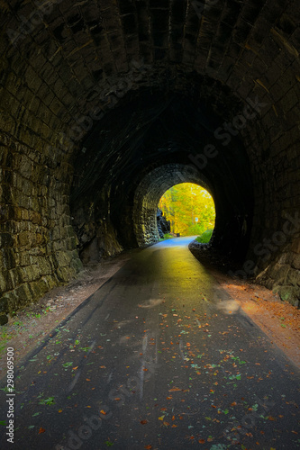 Historic disused railway tu...