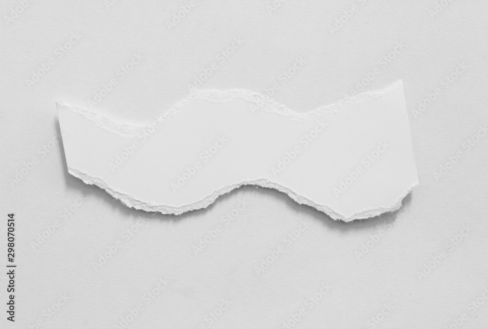 Fototapeta premium torn paper texture background, copy space.