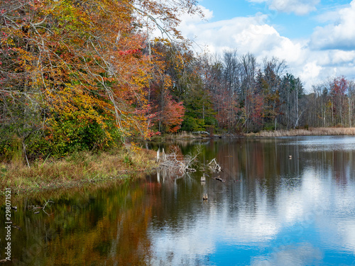 fall at the lake