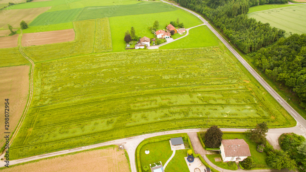 Obraz Crop damage in a field, aerial view