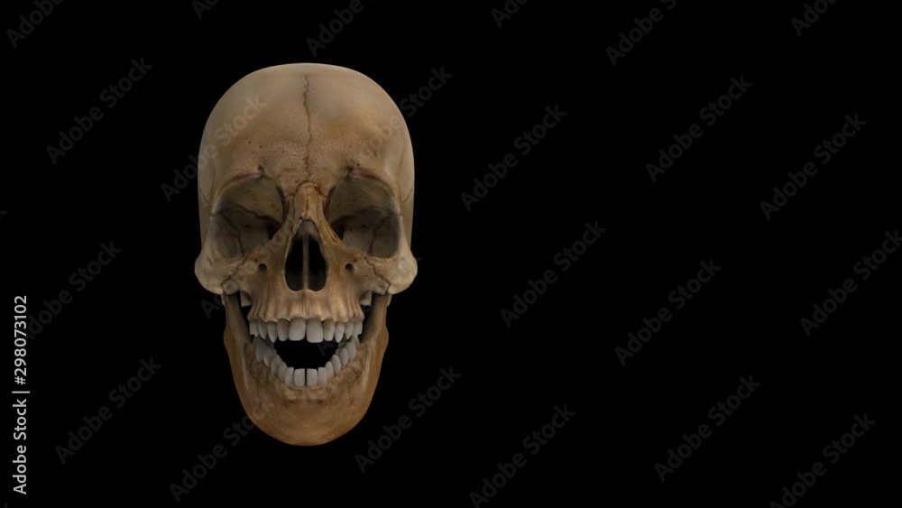 Loopable Halloween speaking ghost skull bone with white alpha channel footage background. Loopable Halloween speaking ghost skull bone with white alpha channel footage background.