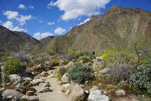 A path in the desert