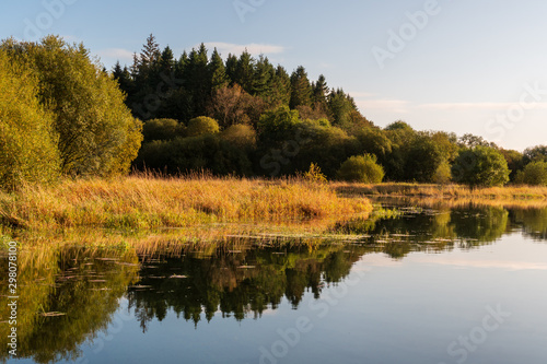 Peaceful landscape with trees reflections in the still lake waters on a hazy and sunny autumn morning. Irish countryside scene.  © Gabriel