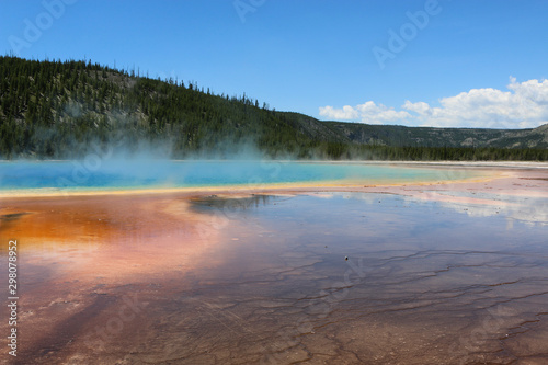 grand prismatic hot spring in forest