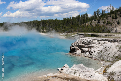 hot spring at yellowstone national part near forest