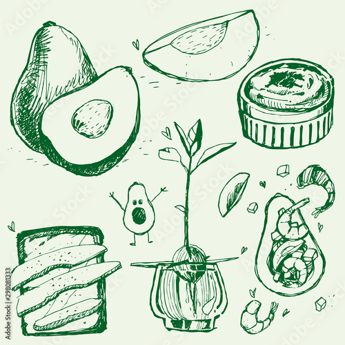 avocado food sandwich pate shrimp bone cheese line vector set