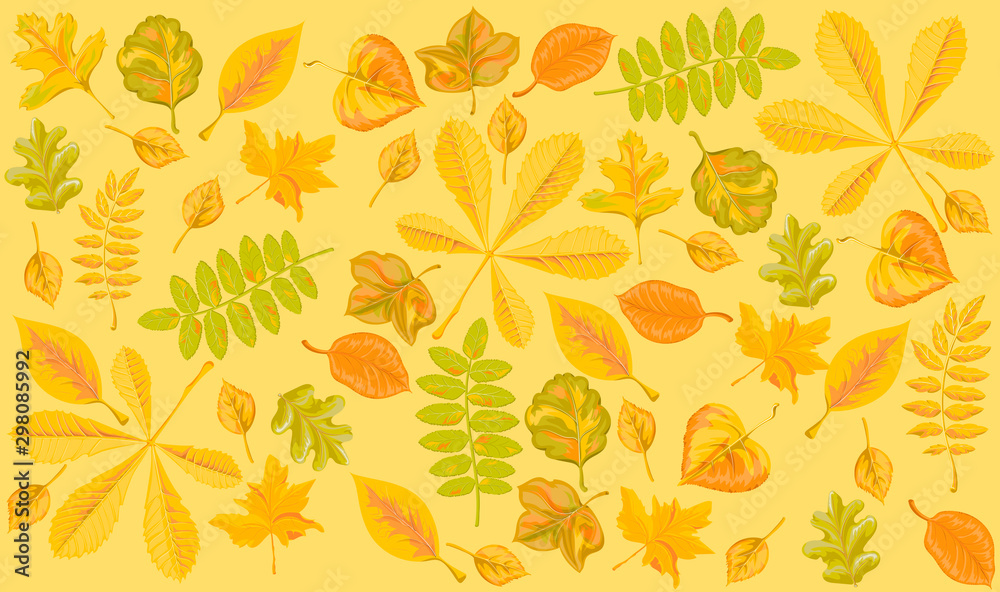 Pattern of autumn leaves of different trees in vector design Pattern of autumn leaves of different trees in vector design