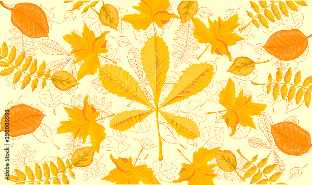 Vector illustration of autumn leaves in a pattern with warm flowers for a beautiful background