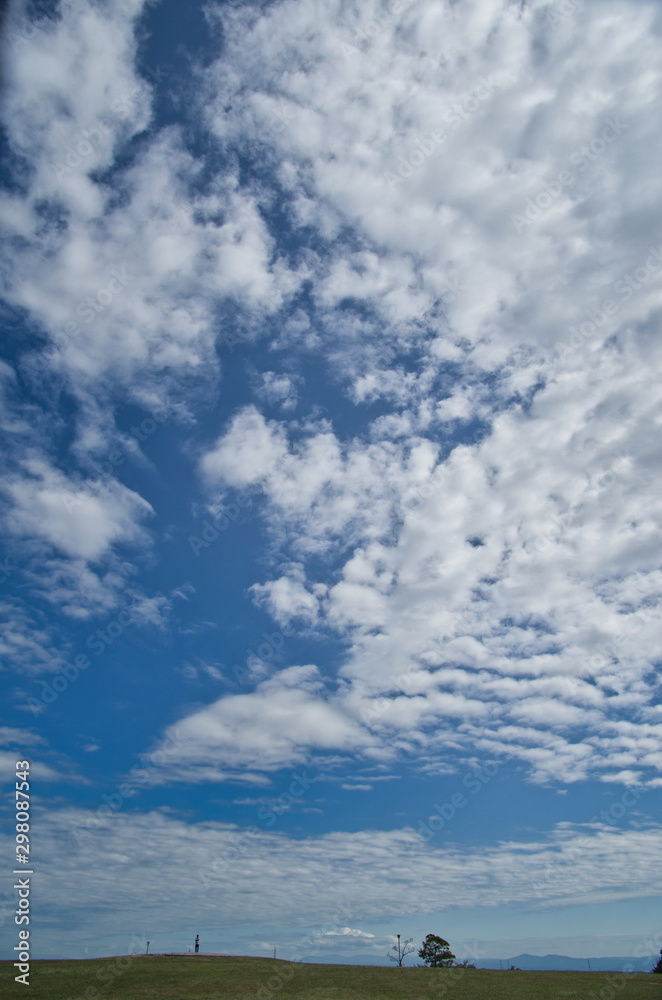 青空 Blue Sky