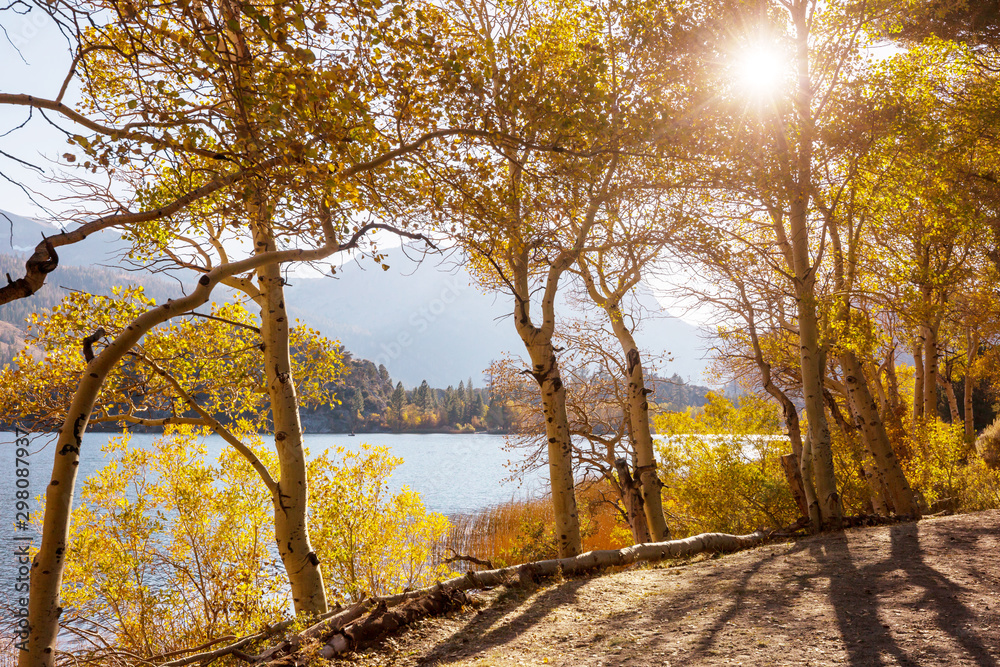 Fototapeta premium Autumn lake