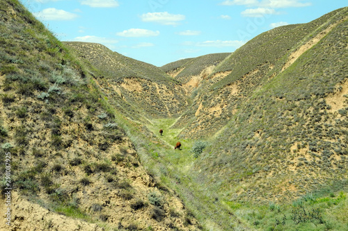 Foto Green hills and cloudy sky