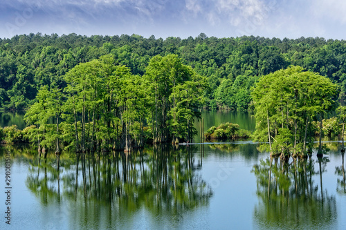 Piney Z Lake in Tallahassee, Florida