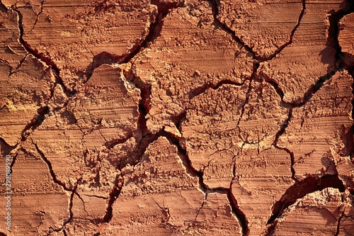 Murais de parede High angle closeup of cracked dry soil