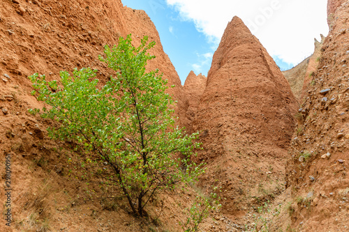 Valley eroded by rain and wind forming ravines in the red clay called Las Carcavas in Madrid photo