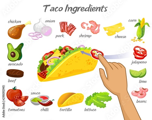 Taco constructor with different ingredients vector illustration. Poster with hand adding ingredient in mexican food. Poster with chicken, onion and chilli, pork and shrimp, beef and tomato