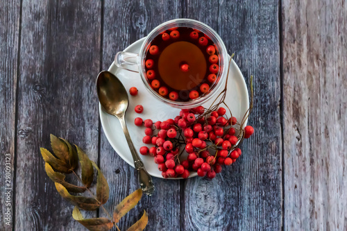 Hot healing tea, mountain ash tea. Applied with a lack of vitamins, anemia, metabolic disorders. Reduces the level of harmful cholesterol in the blood, strengthens blood vessels. 
