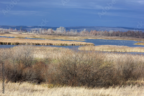 gloomy autumn landscape with a view of the rushy lake