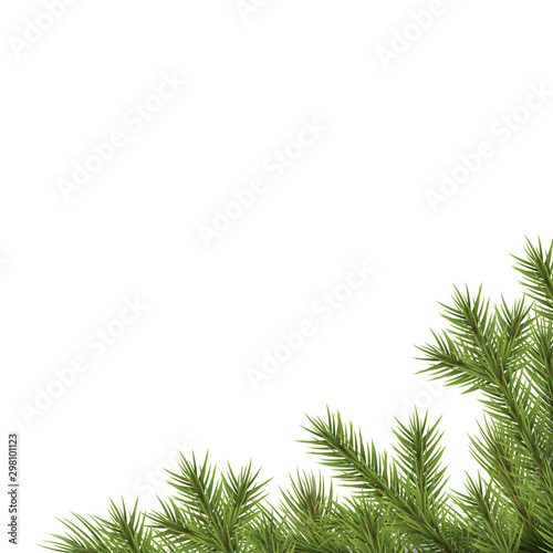 fir branch lower right corner