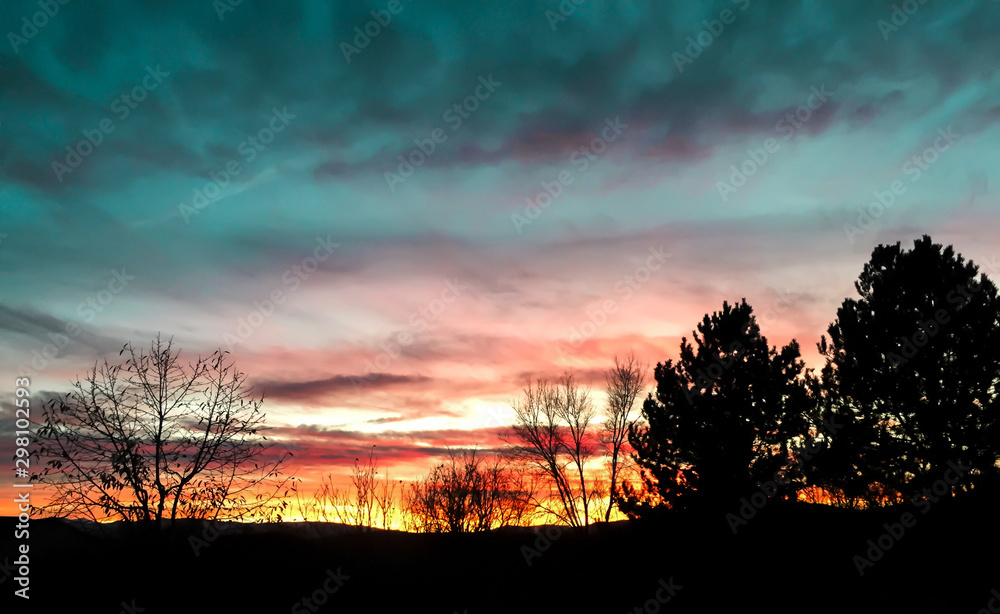 Fototapeta premium Colorful sunset with silhouette of trees in foreground.