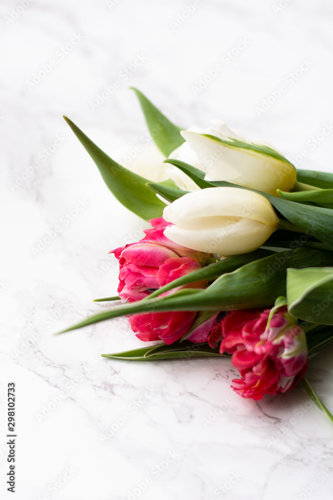 Bouquet of white and pink tulips in the hands of a child on a light background close up Bouquet of white and pink tulips in the hands of a child on a light background close up