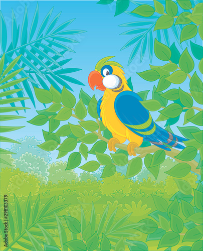 Funny colorful parrot perched on a green tree branch in tropical jungle, vector illustrations in a cartoon style