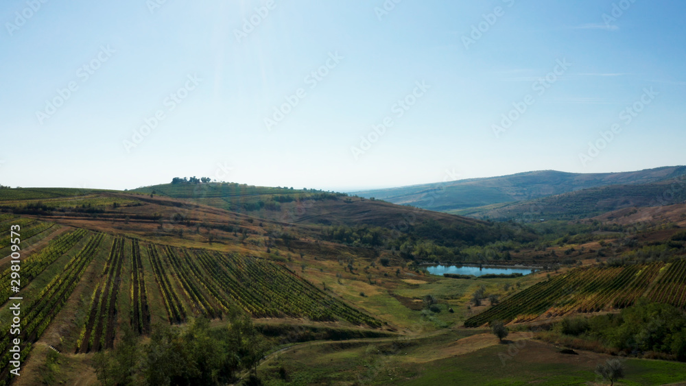 Aerial shot of beautiful rural vineyard