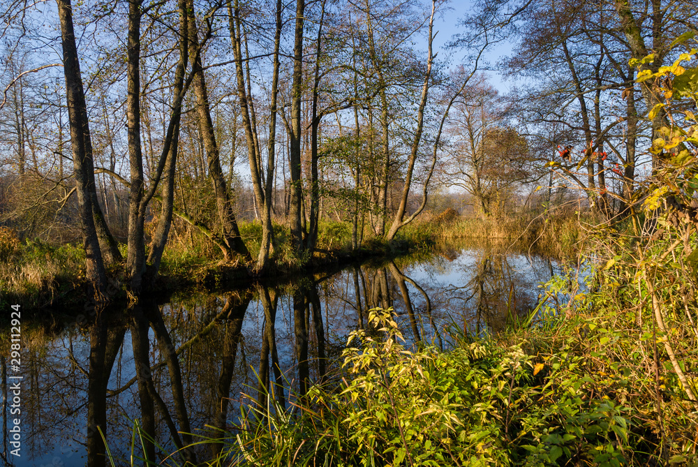 Złota Polska Jesień nad rzeką Supraśl, Podlasie, Polska Złota Polska Jesień nad rzeką Supraśl, Podlasie, Polska