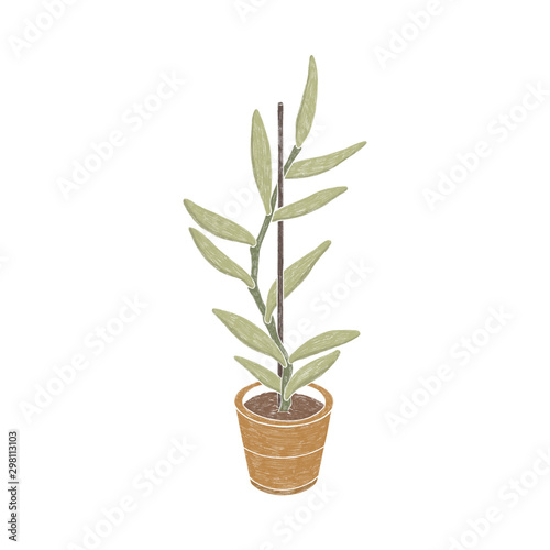 Hand painted houseplant in a pot on a white background.