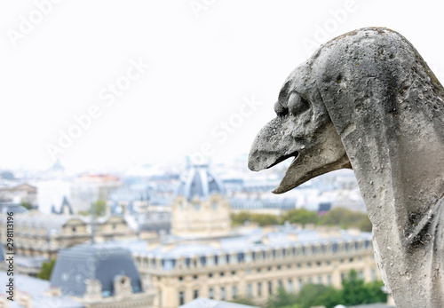 statue of Monster of Notre Dame Basilica in Paris