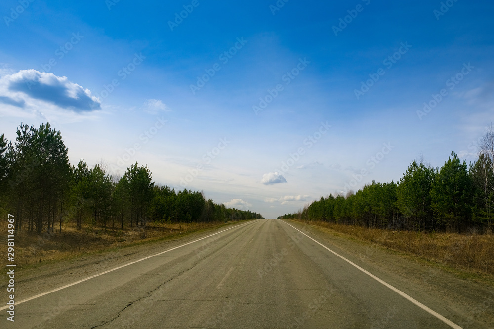 A long straight empty asphalt road through green forest on sunny day, perspective. Travel concept