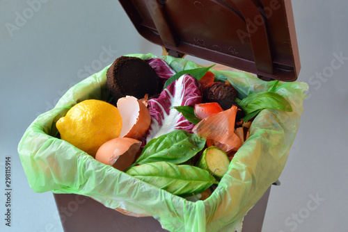 Fotografie Trash bin full of organic garbage.