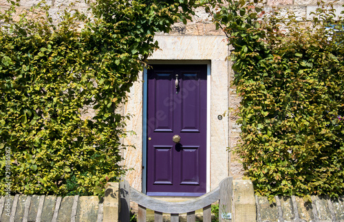 purple door