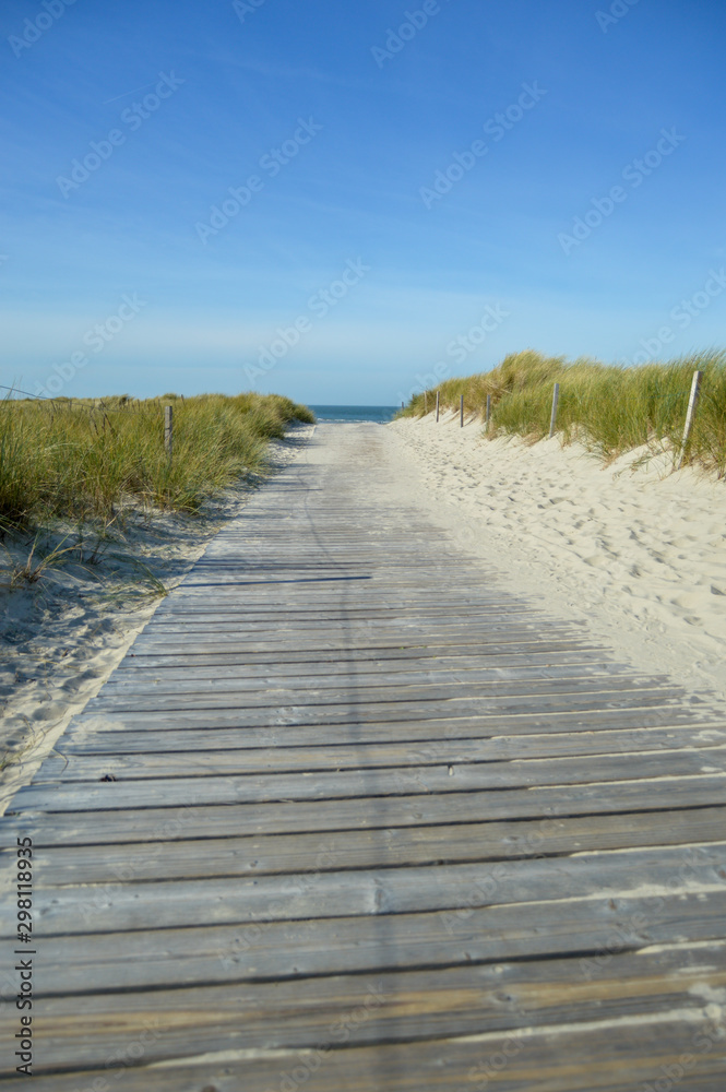 Fototapeta premium Beach path