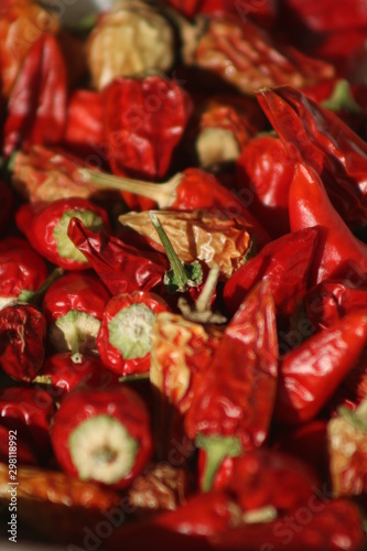 Quadro su tela some like it hot: growing colourful peppers, harvested peppers