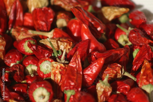 Foto some like it hot: growing colourful peppers, harvested peppers