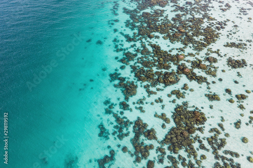 Drone view of a tropical beach photo