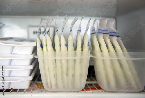 Breast Milk Storage in Freezer