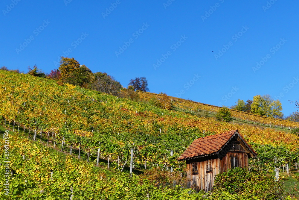 Hütte in den Weingärten