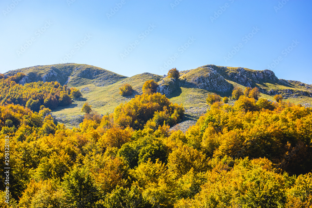 autumn landscape of the woods and hills of the Molise region in Italy