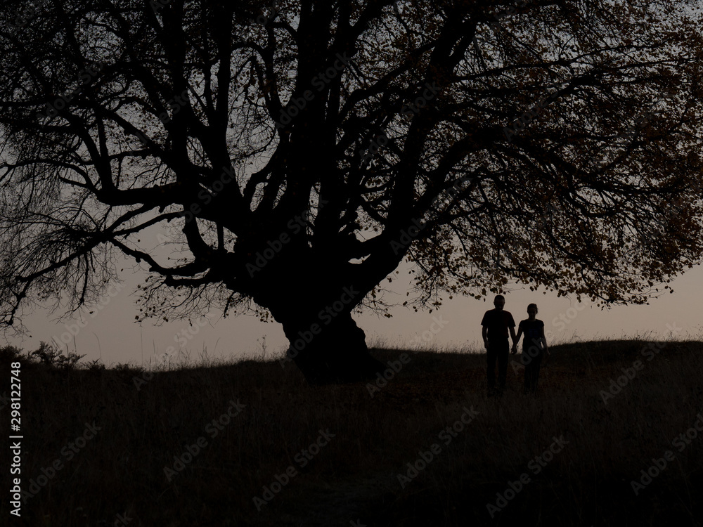 silhouette of a couple walking in the park