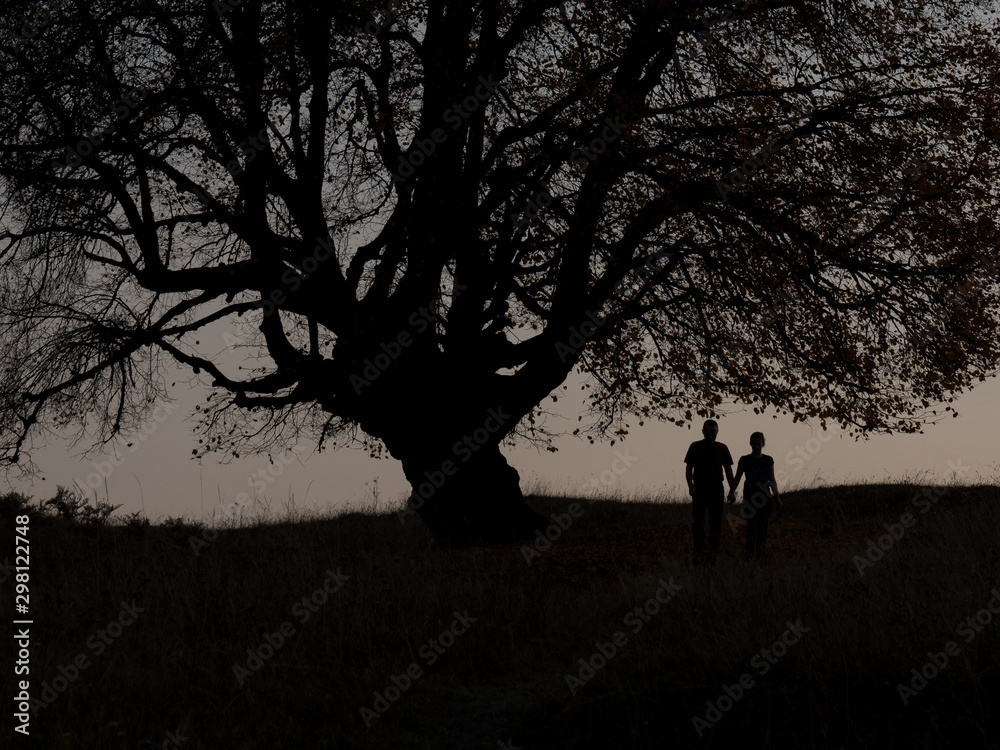 silhouette of a couple walking in the park silhouette of a couple walking in the park