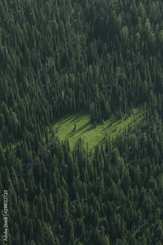 Heart Shaped Meadow photo